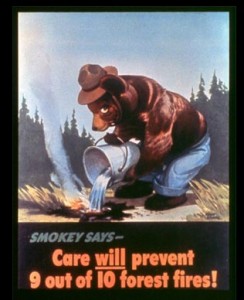 Première affiche de la campagne contre les feux de forêts. Source : PD-USGOV