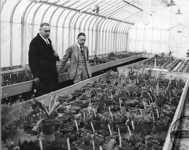 9 juin 1931 Fondation du Jardin botanique de Montréal