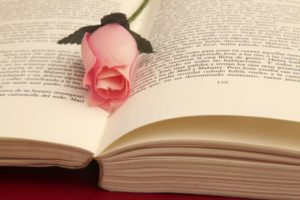 Une tradition catalane :offrir une rose avec un livre Source : http://litteraturetheatretechnologies.blogspot.ca